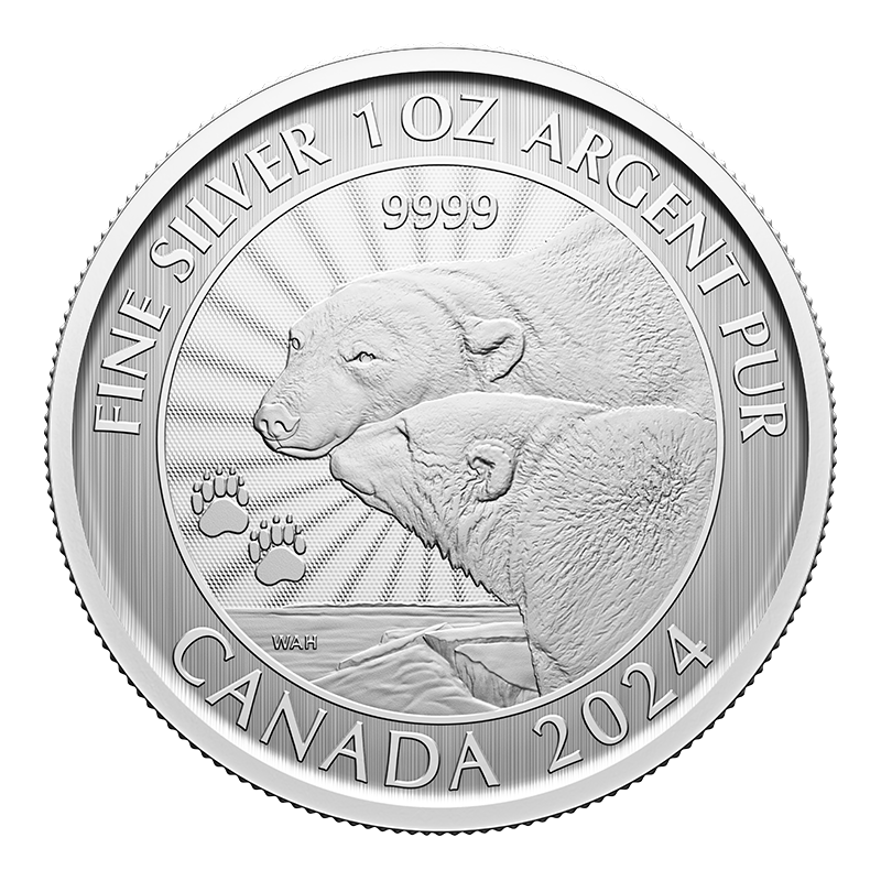 Image pour Pièce de 1 oz en argent de 5 $ – La majestueuse ourse polaire et ses oursons (2024) à partir de Métaux précieux TD